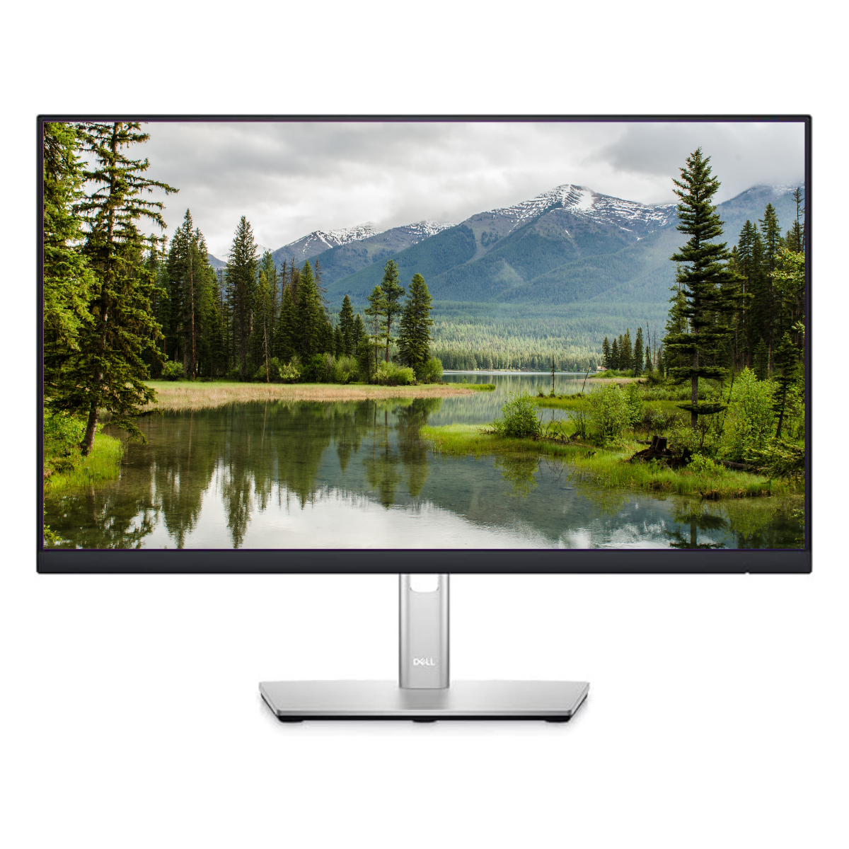23.8  Dell P2422H 5 MS 60 Hz Full HD IPS LED Monitör