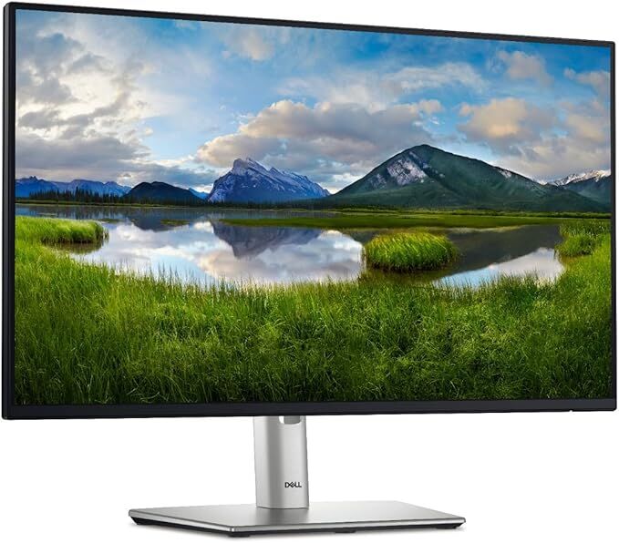 DELL P2425H 23.8  1920X1080 8MS DP HDMI VGA Monitör